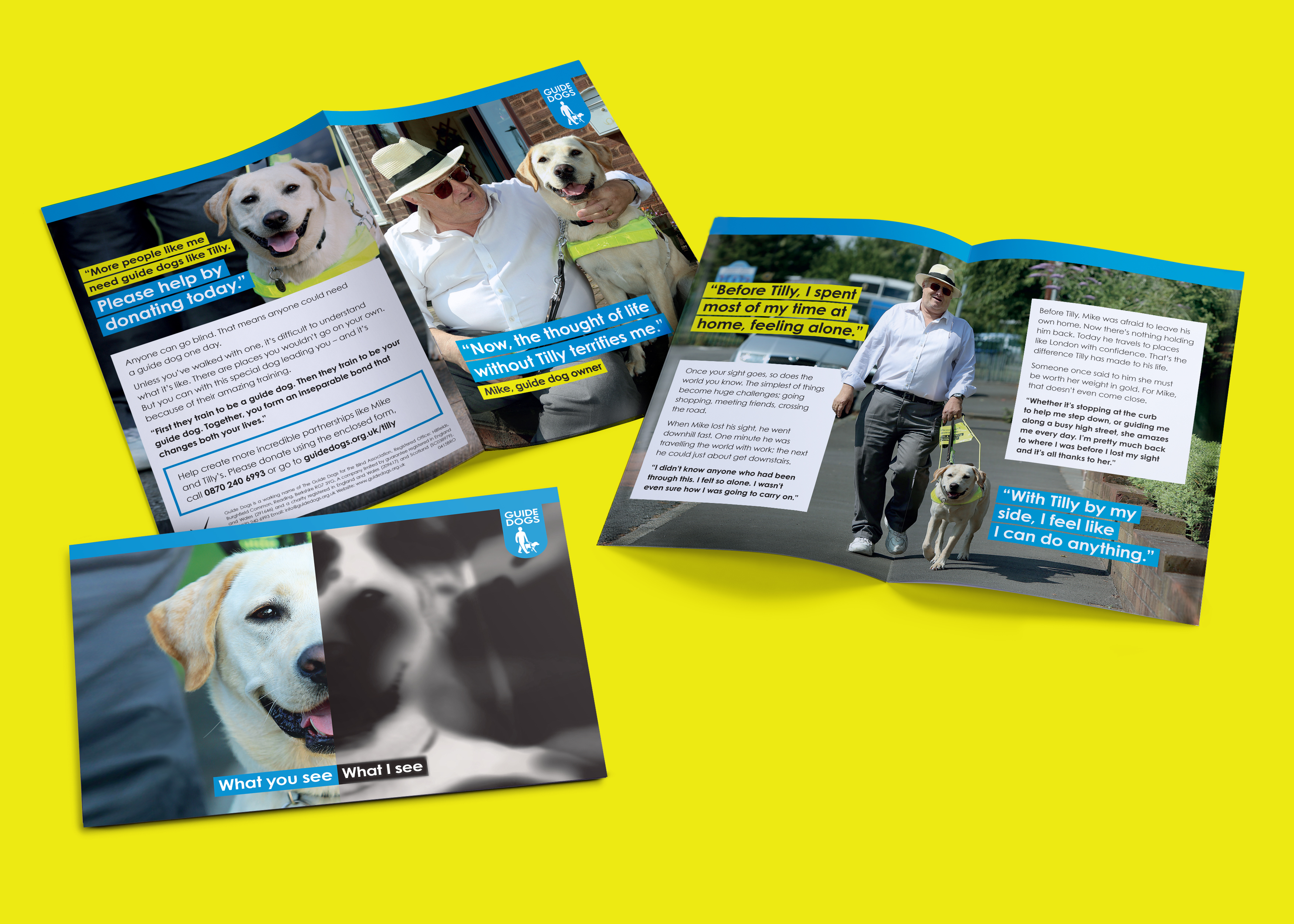 Guide_dogs_Pres.jpg